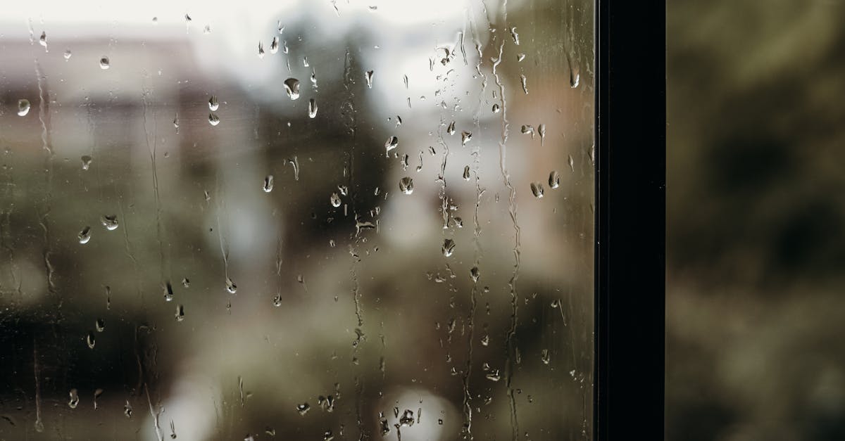 Drømmer om regn — hva betyr det?